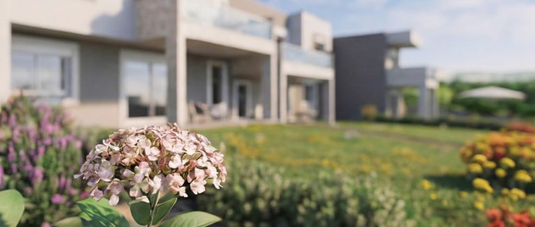 Sikia Vista garden detail with pink hydrangea in front of the blurred terraced houses and lawns on a sunny day