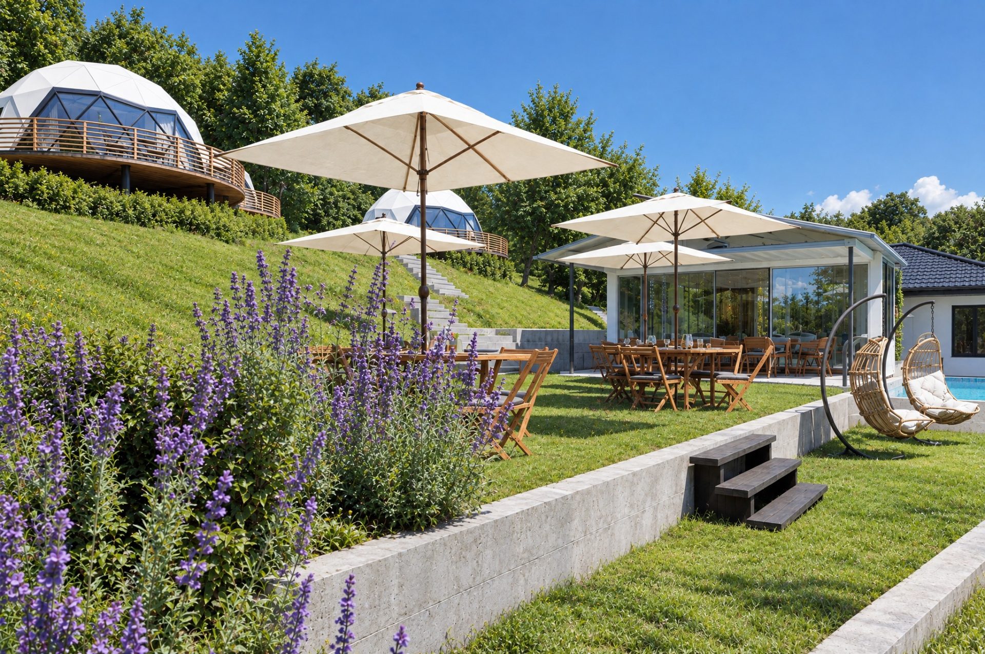 Lavender in bloom in front of the dining lawn, umbrellas, glass pavilion and pool edge at midday